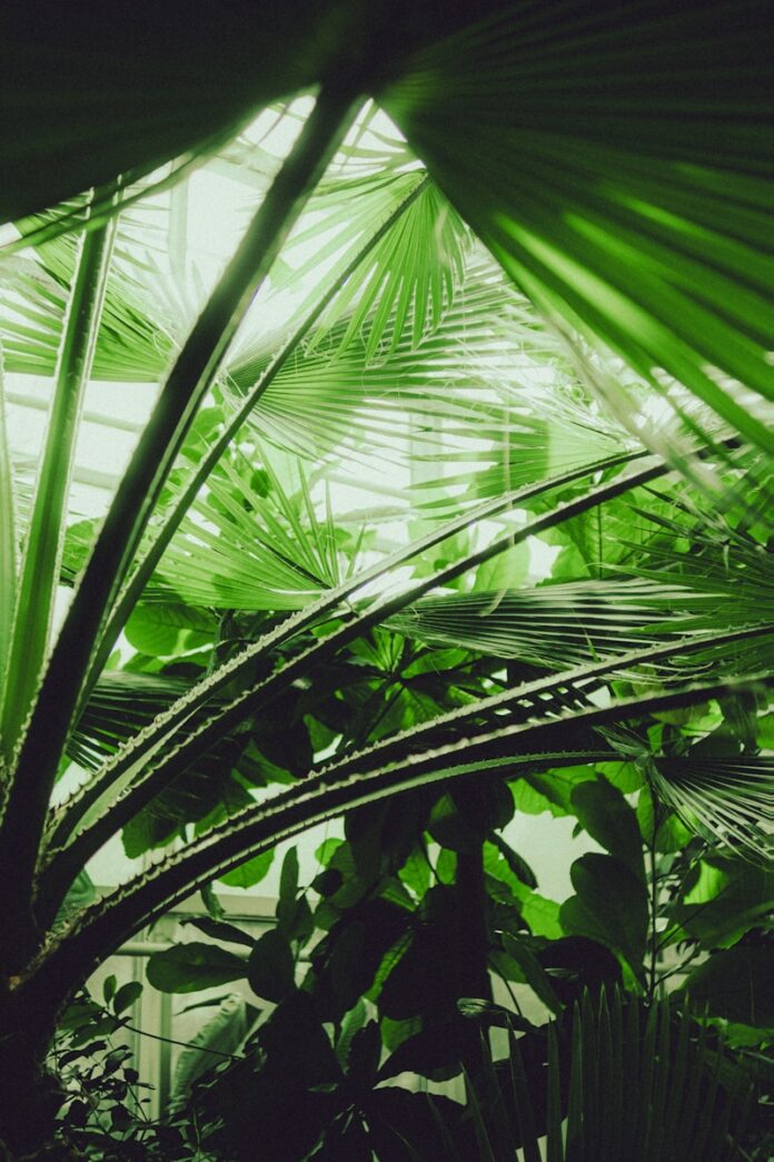 Vibrant green plants fill the frame in this image.