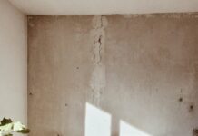 “잘 자야 잘 산다”… 바쁜 일상 속, 달라진 수면 관리법 leaf plant near bed