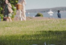 “보여주기식 바디프로필은 가라”… 지속 가능한 건강을 찾는 ‘헬시 플레저’ a picnic blanket with food and drinks on it