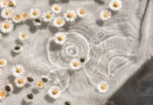 달라지는 웰니스 문화, 건강을 위한 생활 속 작은 변화가 주목받다 white and blue floral textile