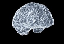 일상 속 뇌건강 지키기, 실천 가능한 뇌 활력 루틴 a close up of a human brain on a black background